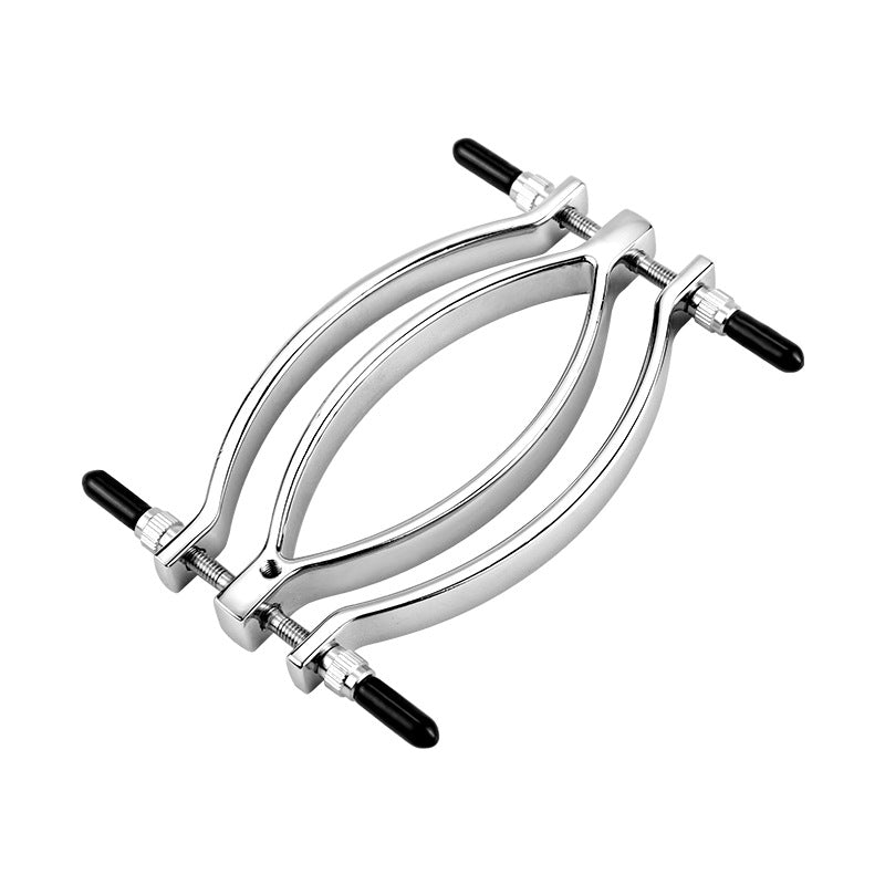 Labia Clamps Stainless Steel BDSM Strap Leash